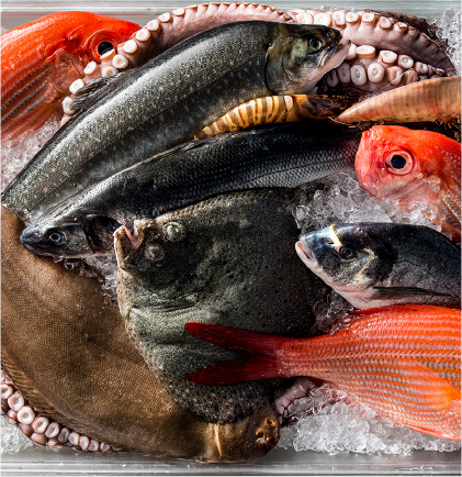 Woman grocery shopping